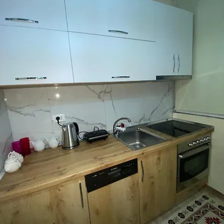 Evis House 地拉那