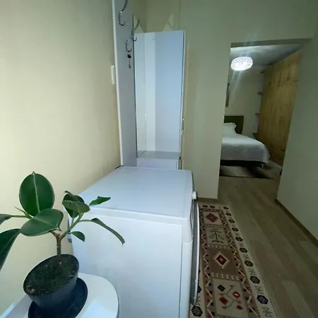 Evis House Apartman