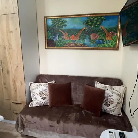 Apartman Evis House